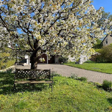 Am Kirschbaum Apartment Uhldingen-Muehlhofen